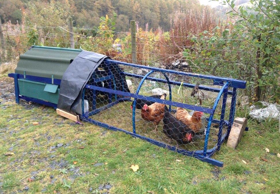 DIY Hen Tractor