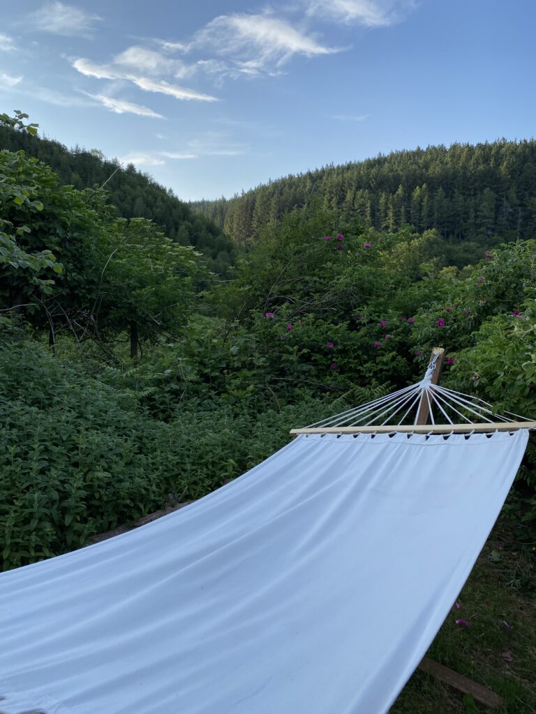 Hammock at Bron Yr Aur surrounded by forest and hills representing rest in off grid living